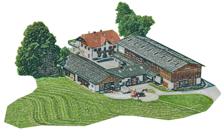 Fleckvieh-Kalbinnen Aufzuchtbetrieb Schneiderbauer-Hof in Lamprechtshausen
