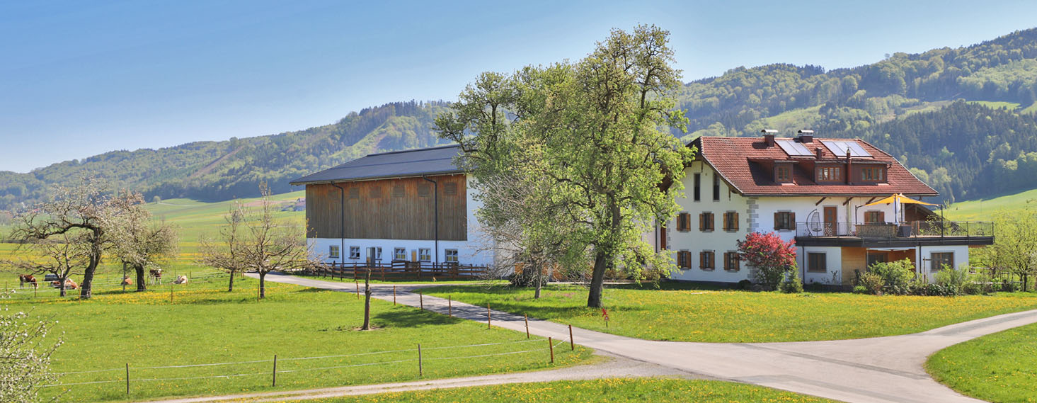 Schneiderbauer-Hof - Kalbinnenaufzucht