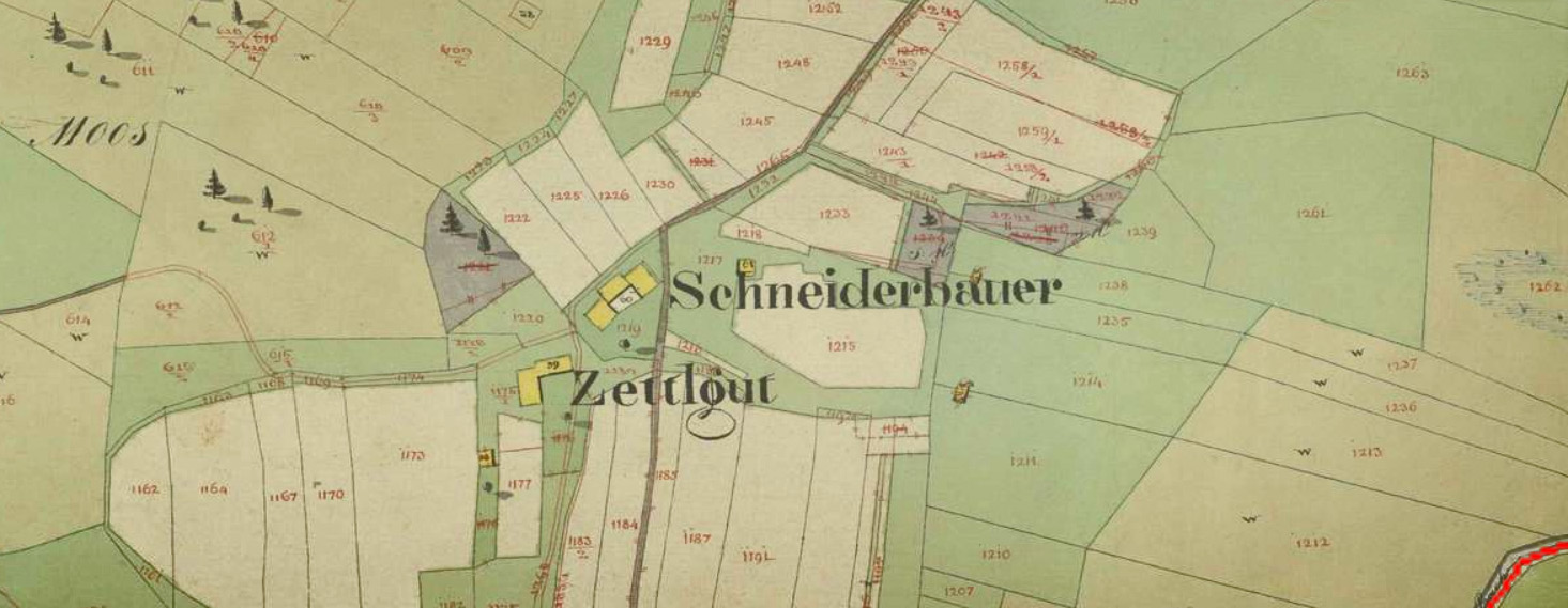 Schneiderbauer-Hof Lamprechtshausen - Kalbinnenaufzucht