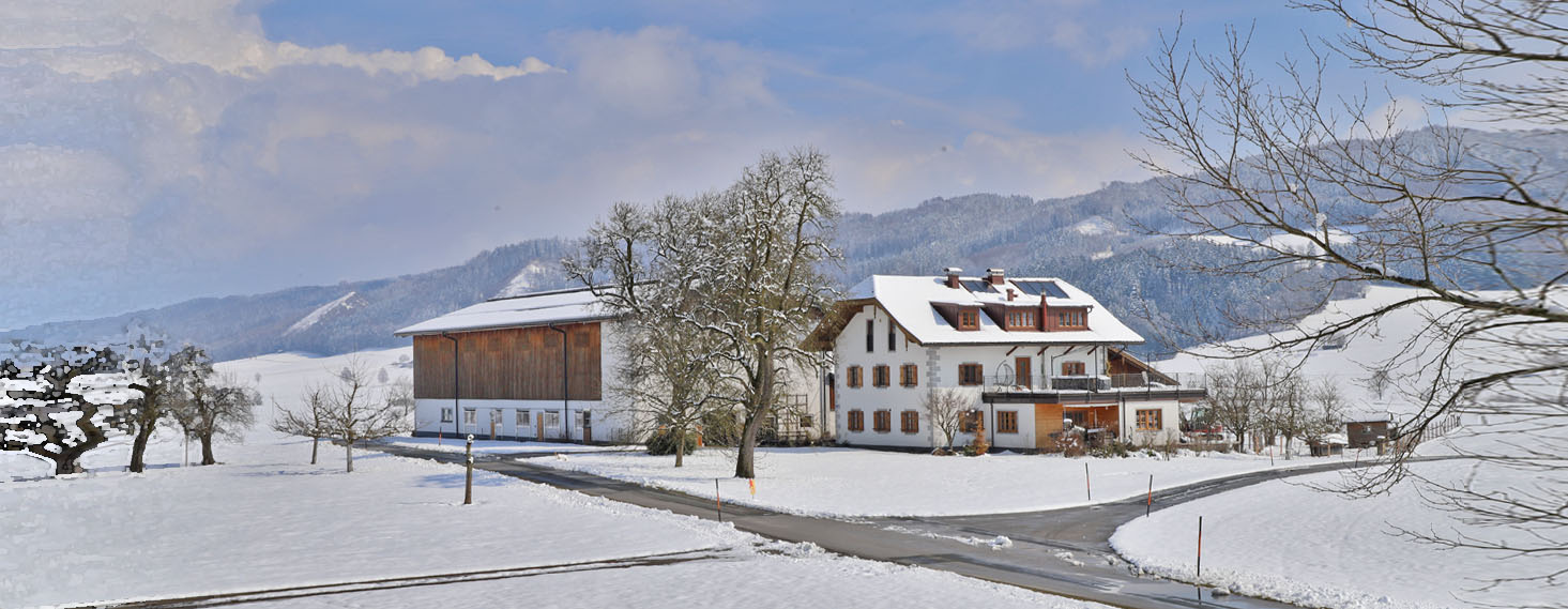 Schneiderbauer-Hof - Kalbinnenaufzucht
