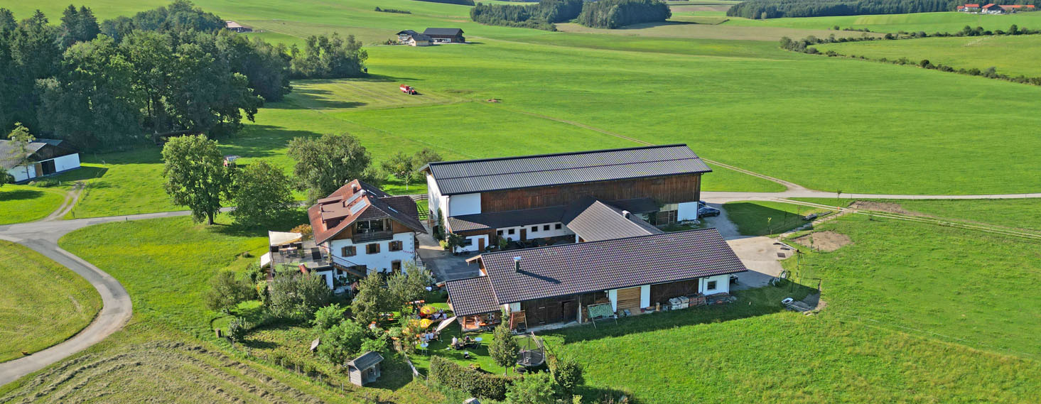 Schneiderbauer-Hof Lamprechtshausen - Kalbinnenaufzucht