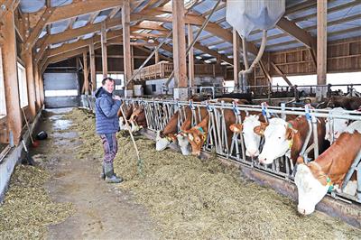 Betrieb Christian und Ricky Frohnwieser, 'Grgernhof' Tiefbrunnau/Faistenau, 40 Milchkhe